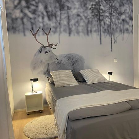 Studio Rudolf - Comfy City Apartment - Private Sauna - Free Wi-Fi - Near To The Centre Rovaniemi Ngoại thất bức ảnh