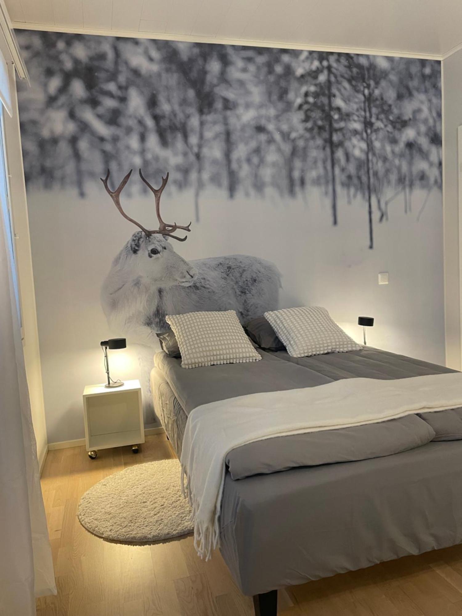 Studio Rudolf - Comfy City Apartment - Private Sauna - Free Wi-Fi - Near To The Centre Rovaniemi Ngoại thất bức ảnh