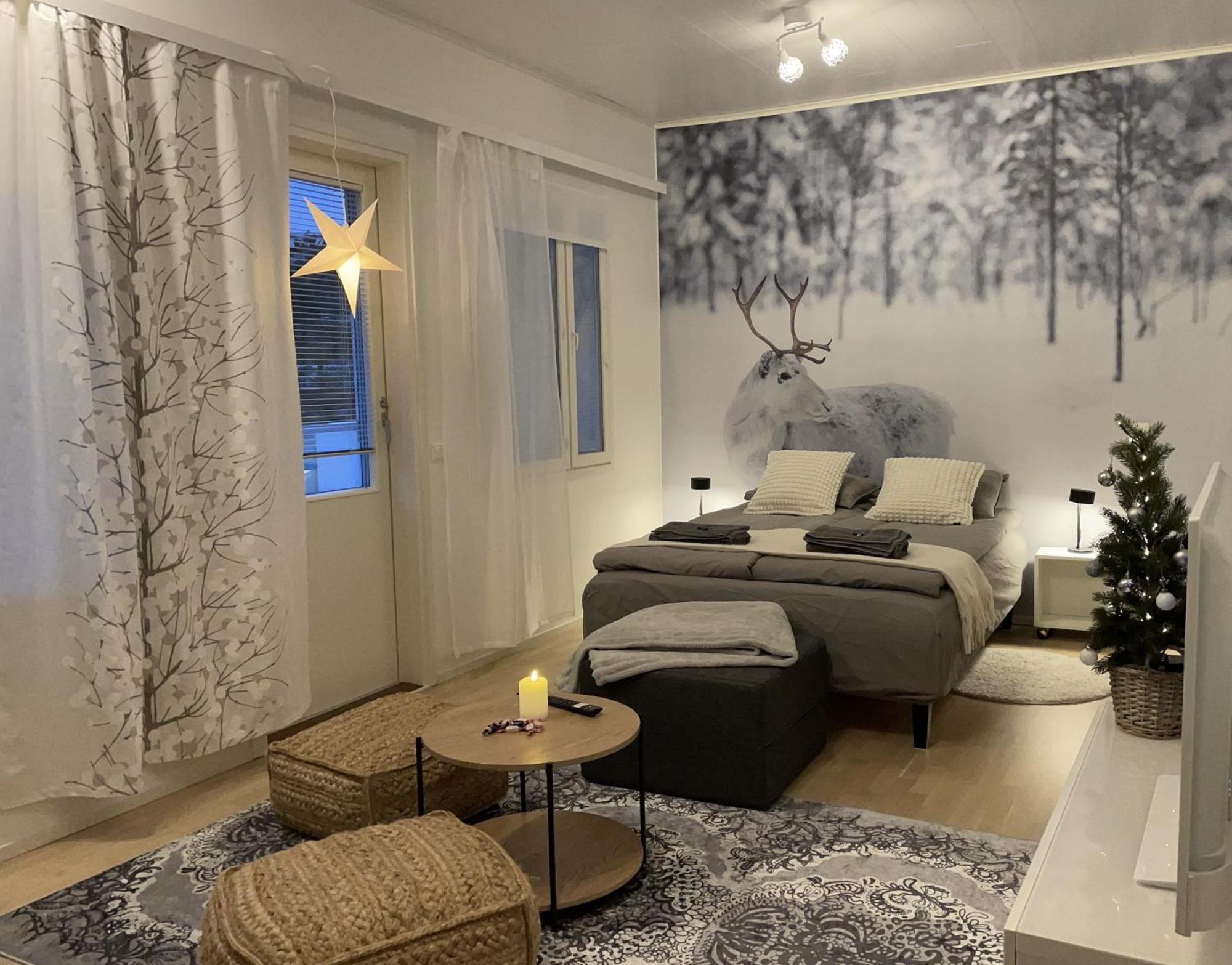 Studio Rudolf - Comfy City Apartment - Private Sauna - Free Wi-Fi - Near To The Centre Rovaniemi Ngoại thất bức ảnh