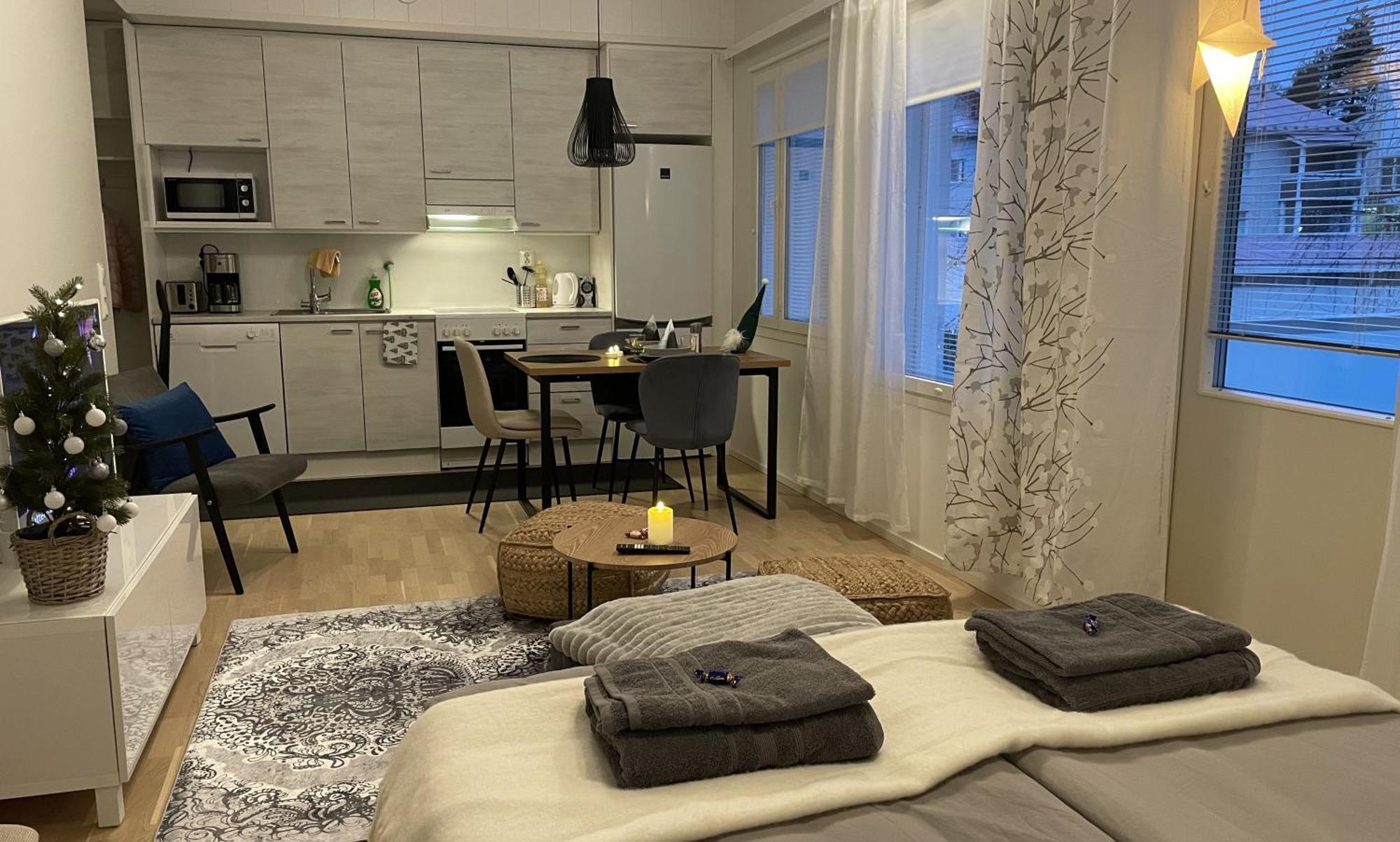 Studio Rudolf - Comfy City Apartment - Private Sauna - Free Wi-Fi - Near To The Centre Rovaniemi Ngoại thất bức ảnh